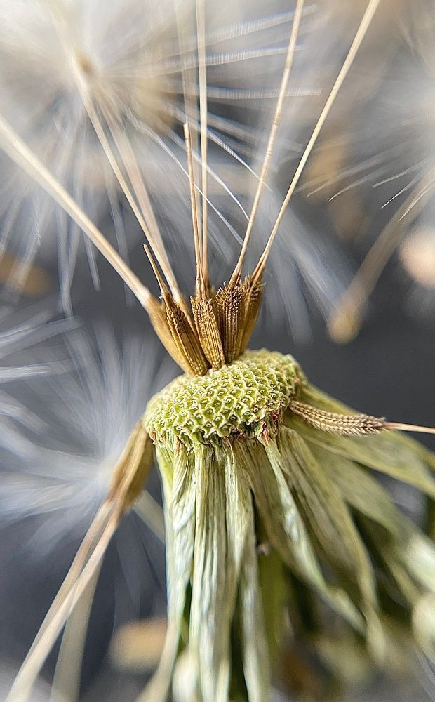 Photograph by Любовь Козлова