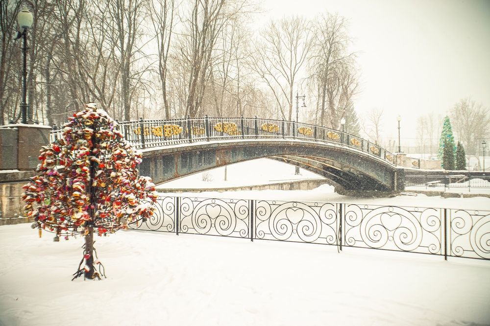 Photograph by Владимир Поздняков