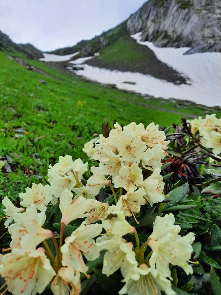 Photograph by Елена Валерьевна