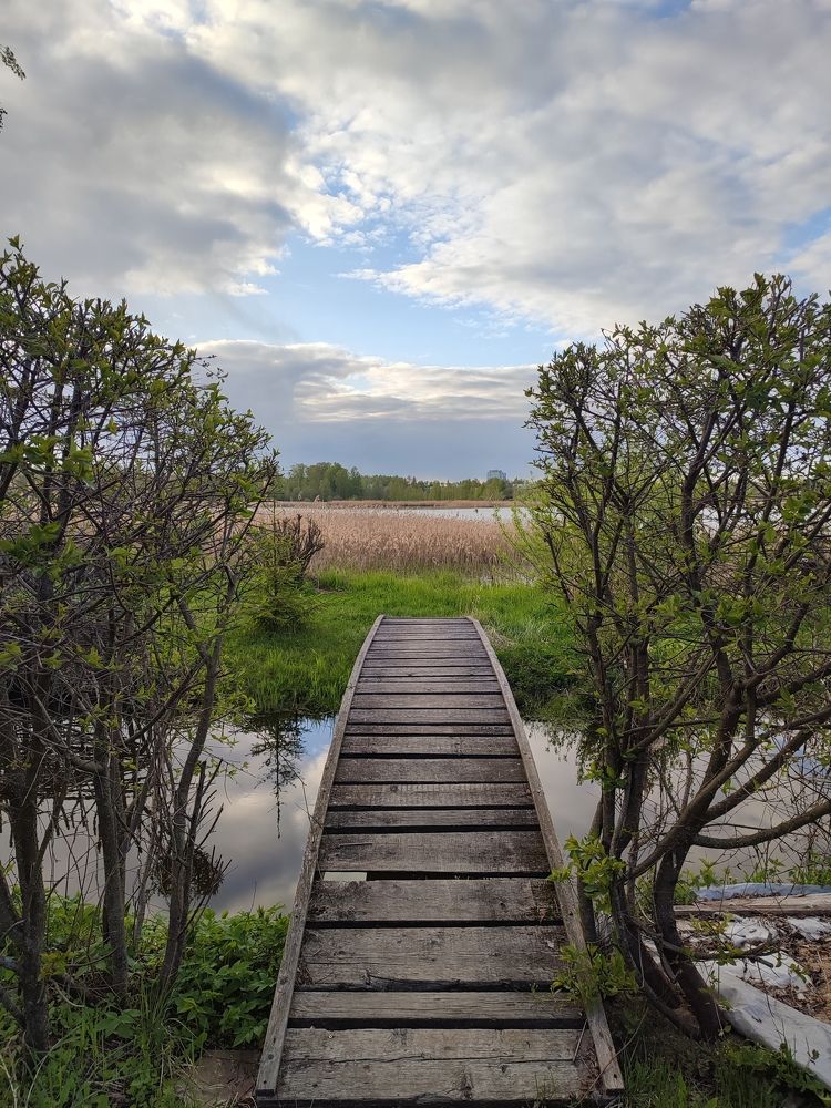 Фотография автора Лолита Богачева