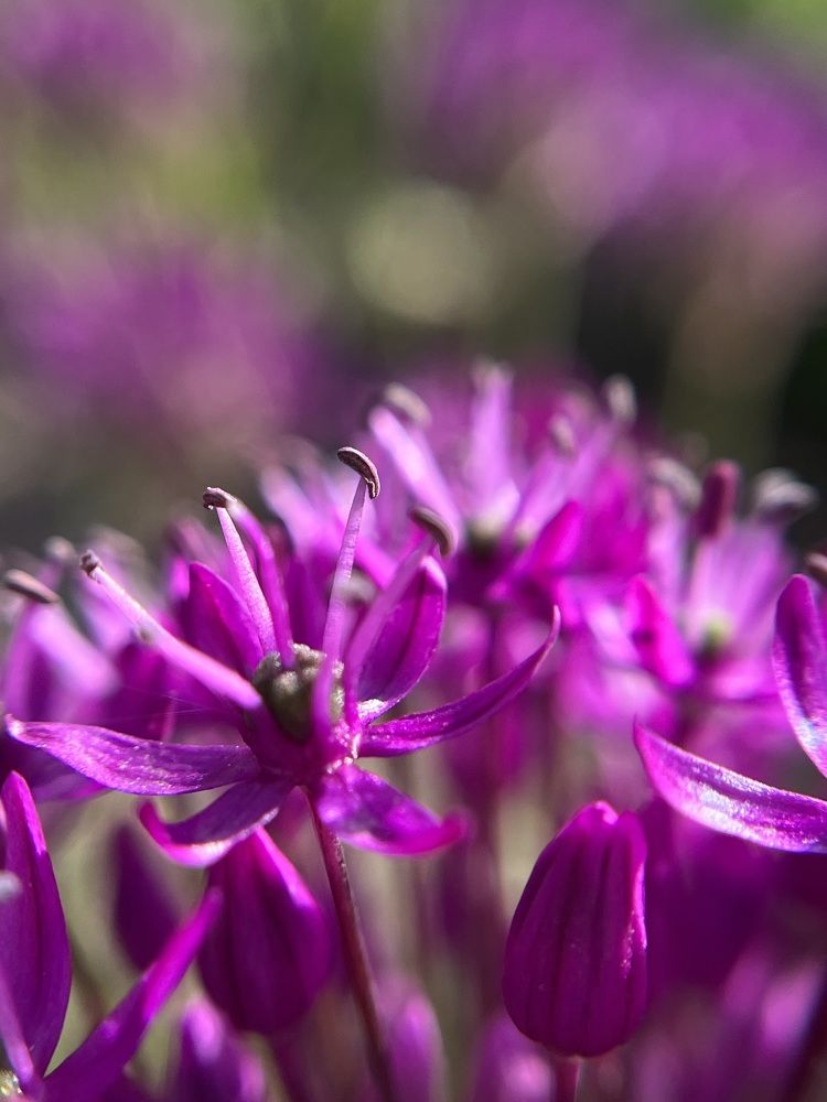 Photograph by Ekaterina