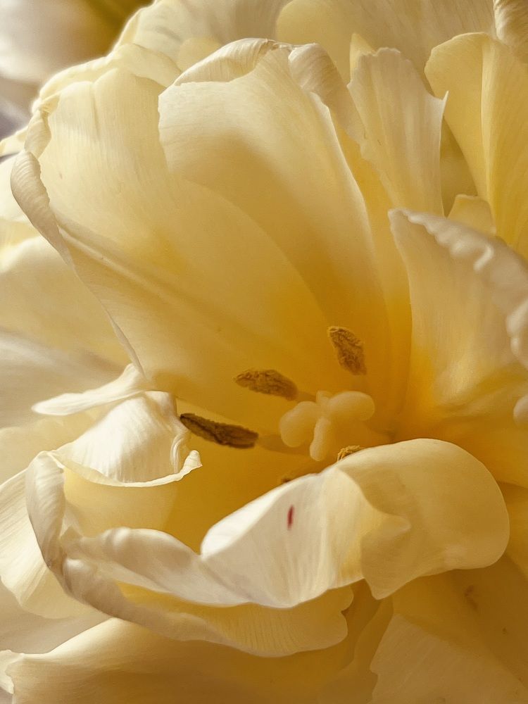 Photograph by Ekaterina