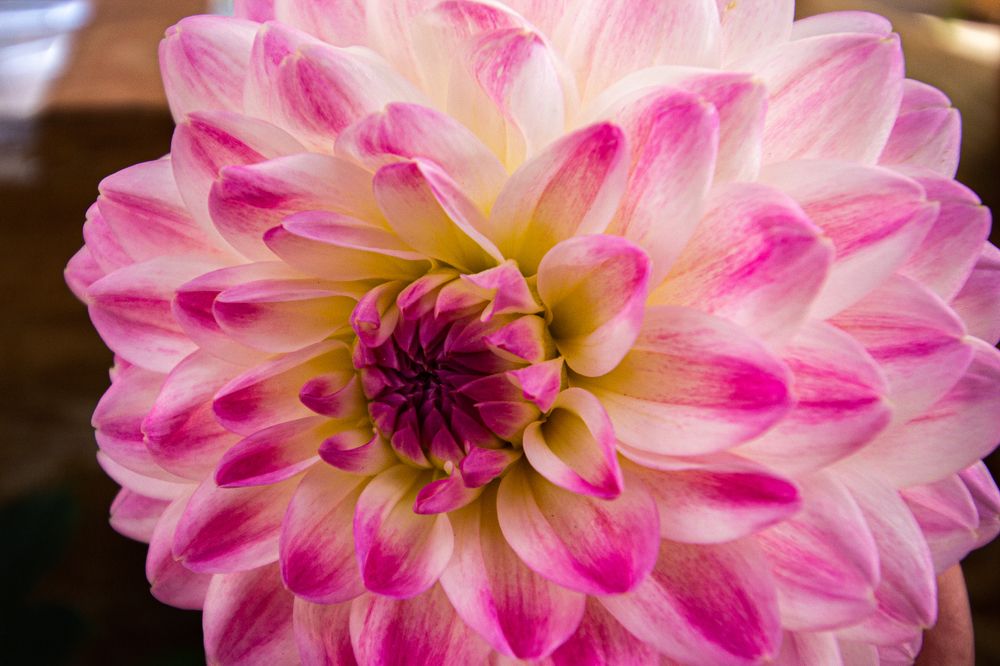 Photograph by Роман Якута