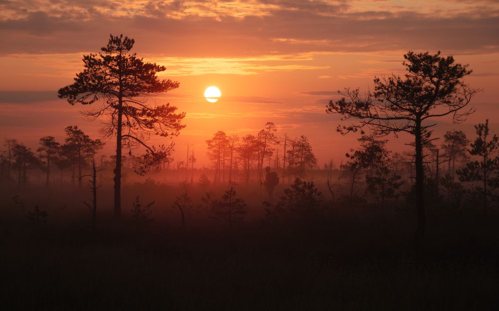 Фотография автора Андрей Врубель