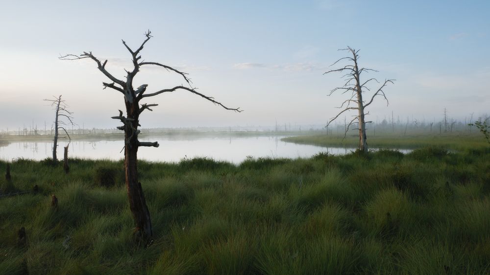 Фотография автора Андрей Врубель