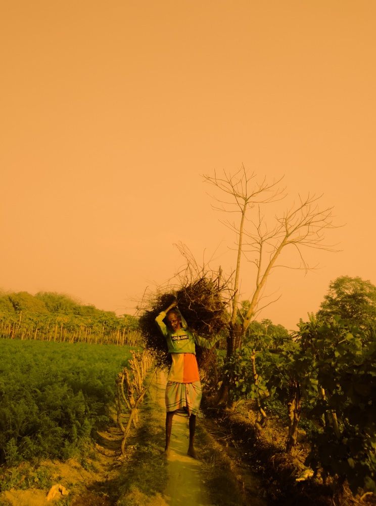 Photograph by Digantika Nath