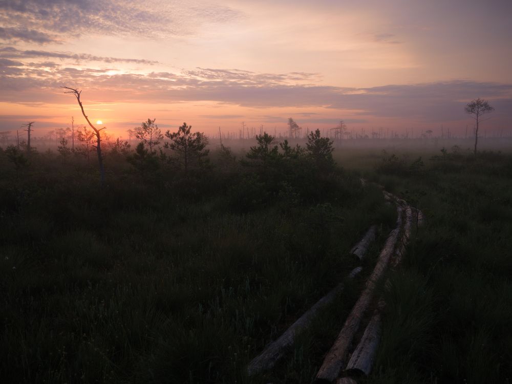 Фотография автора Андрей Врубель