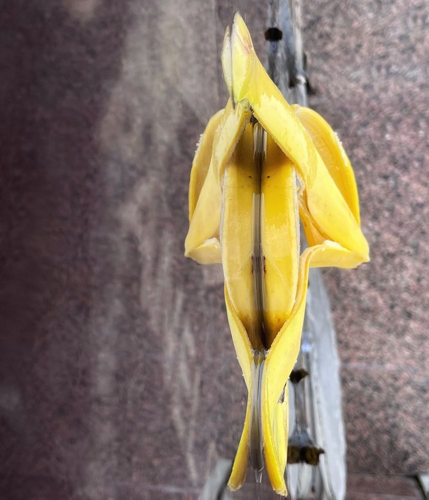 Photograph by Ekaterina