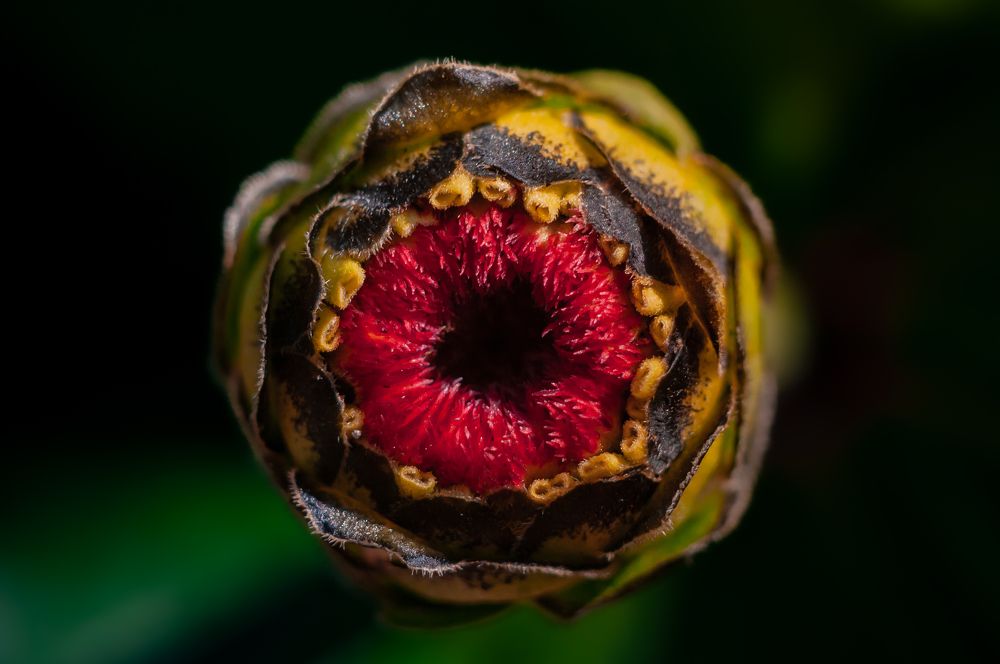 Photograph by Алексей