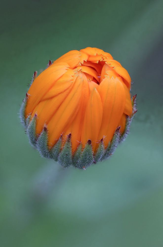 Photograph by Надежда Зайцева