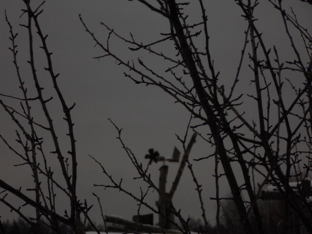 Фотография автора Антонина Клементьева