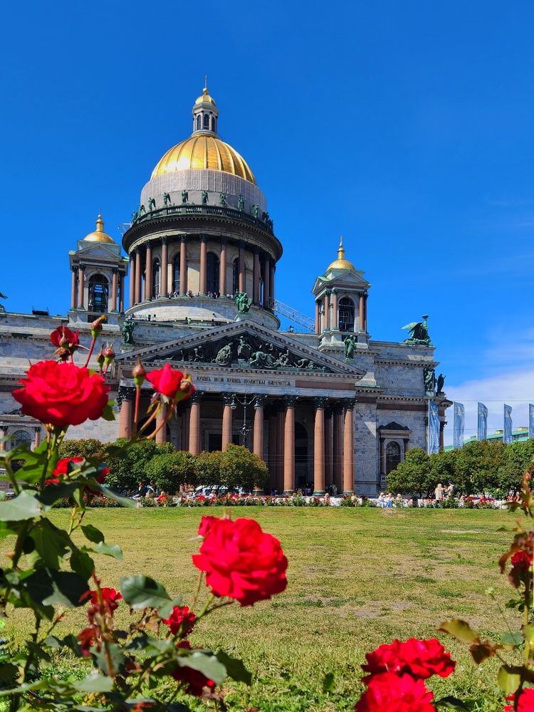 За розами