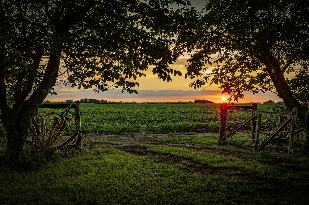 Фотография автора Gustavo Rosas