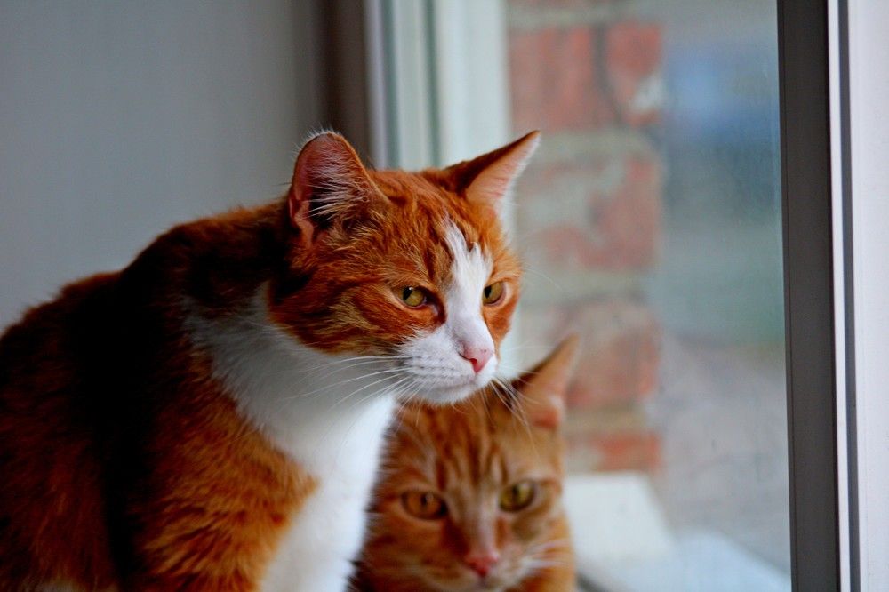 Photograph by Дмитрий Симагин