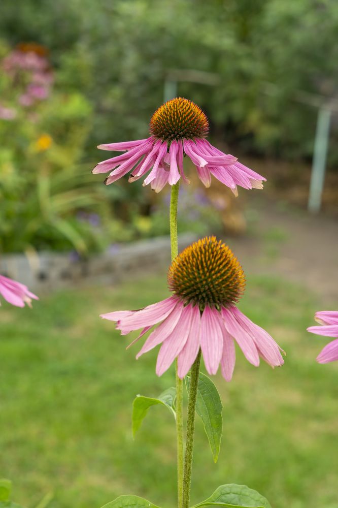 Photograph by Александр Пургин