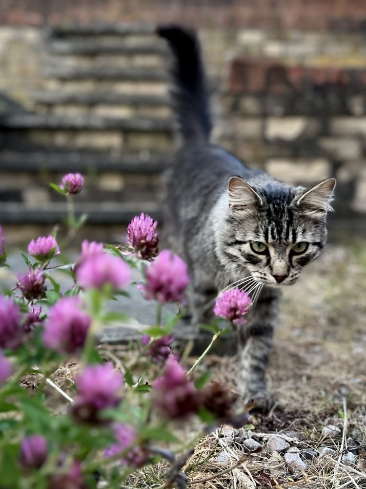 Photograph by Mamta Sofat