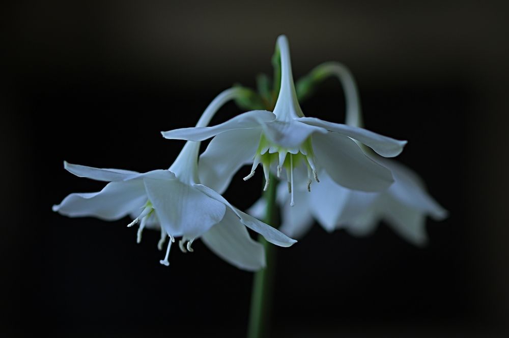 Photograph by Светлана Герасимчук