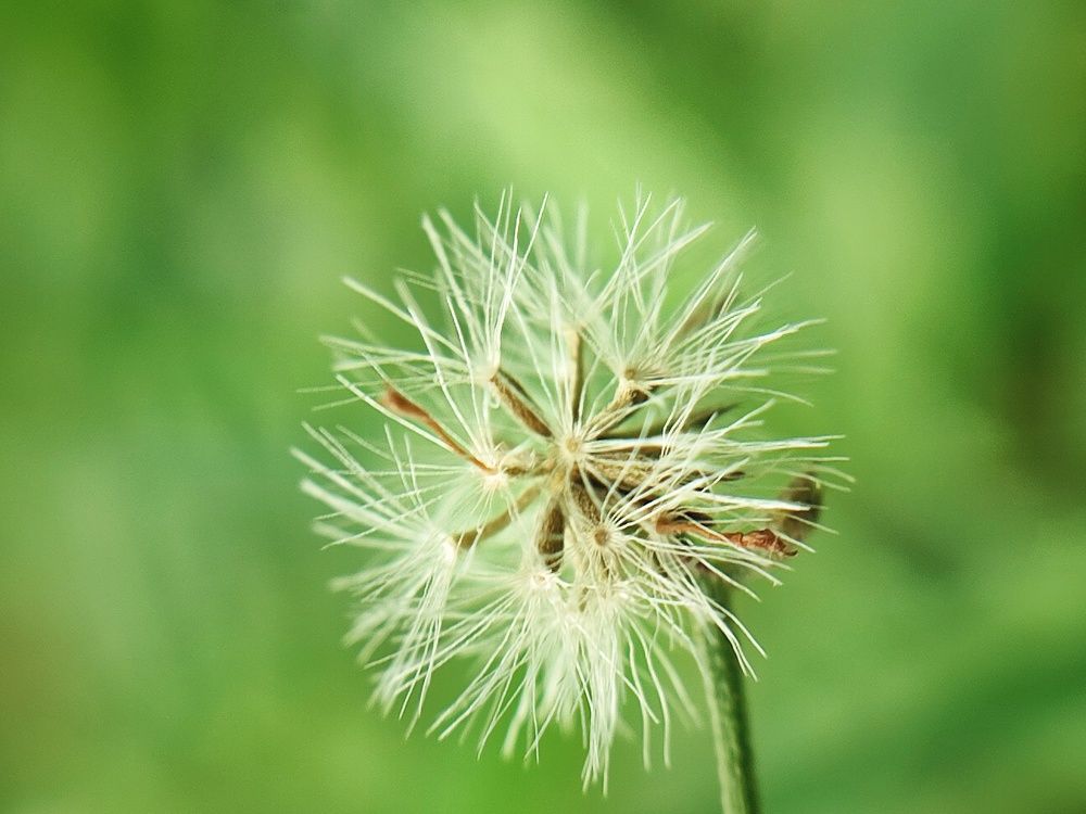 Photograph by Meilany Wijaya