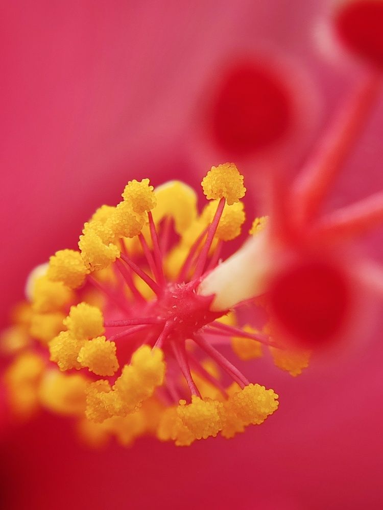 Photograph by Meilany Wijaya