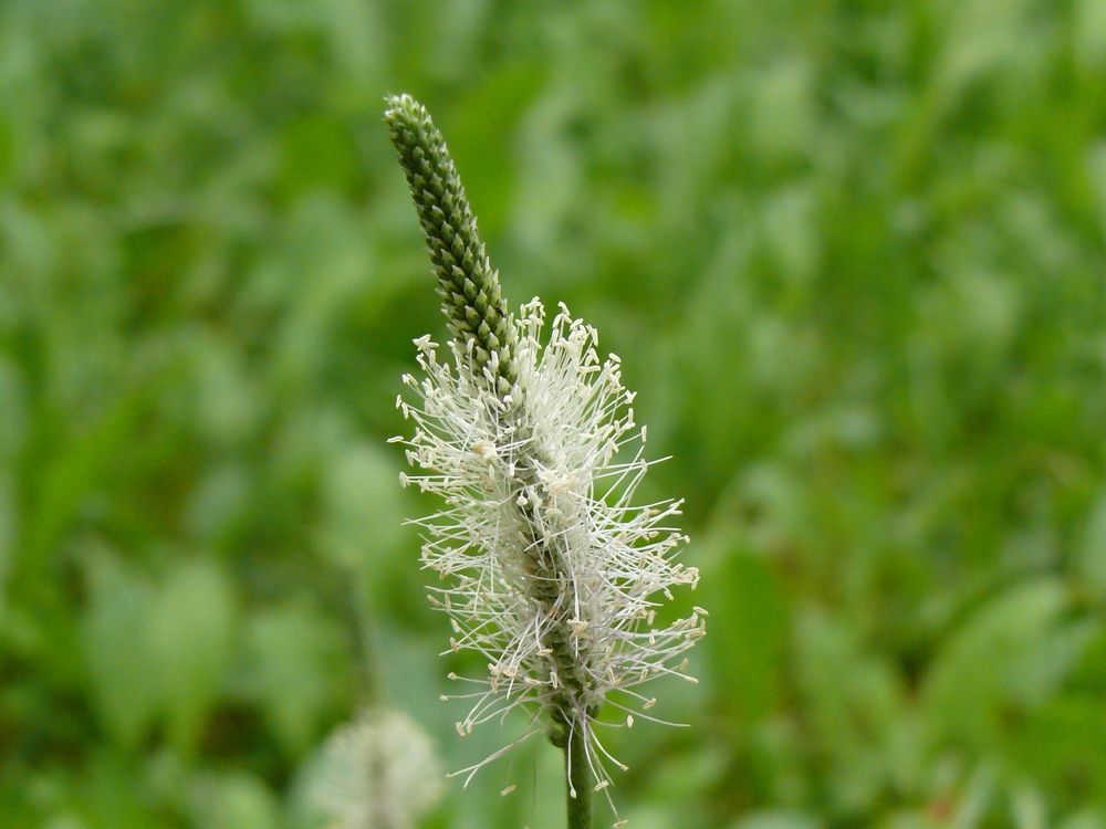 Photograph by Людмила Федорчак