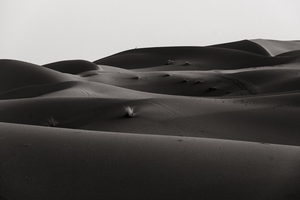 Photograph by Anastasia Vandalkovskaya