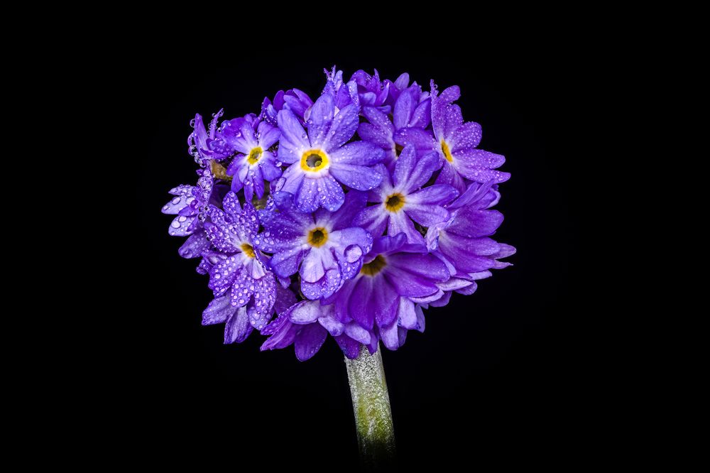 Photograph by Андрей Калинин