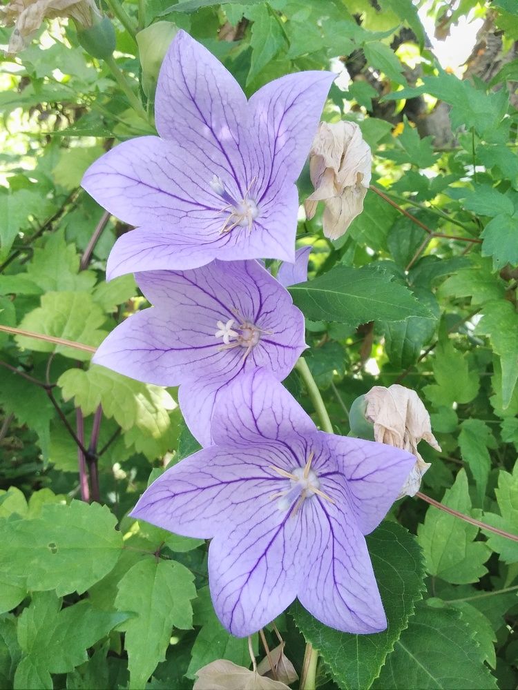 Photograph by Марта Васильева