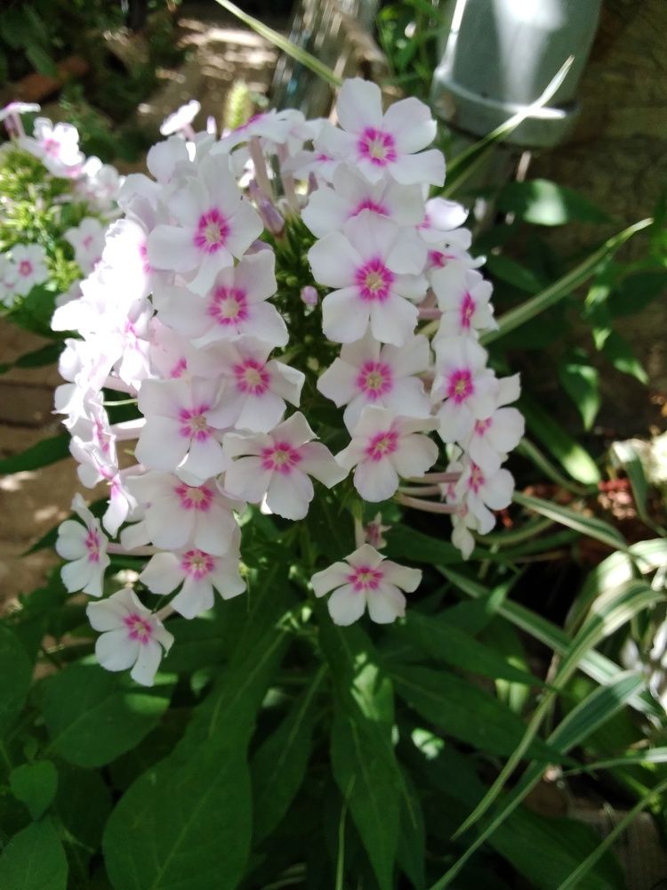 Photograph by Марта Васильева