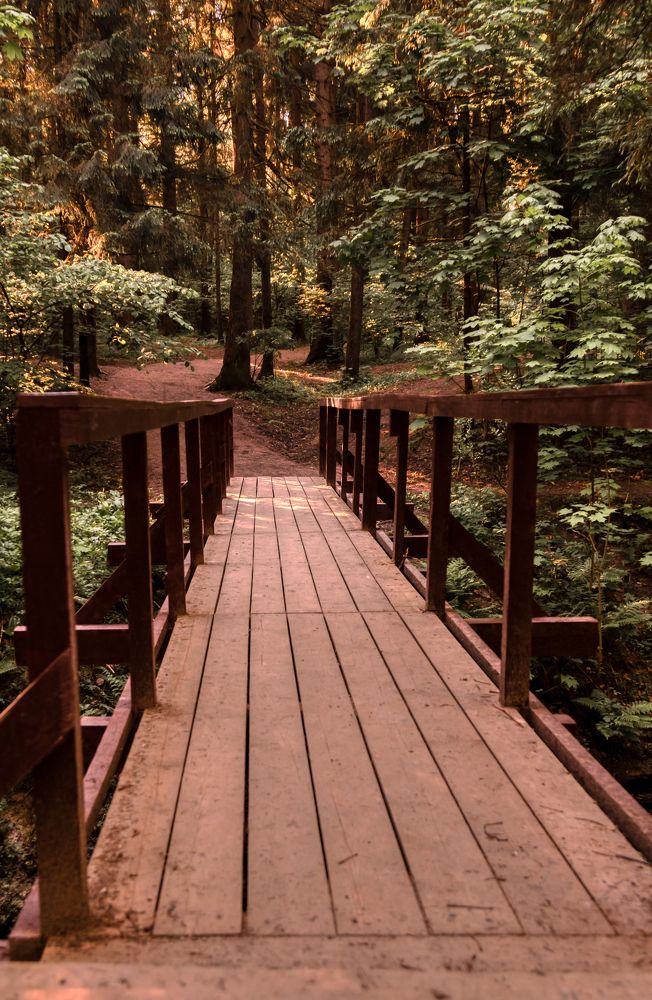 Photograph by Андрей Калинин