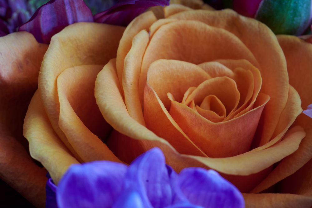 Photograph by Сергей Анисимов