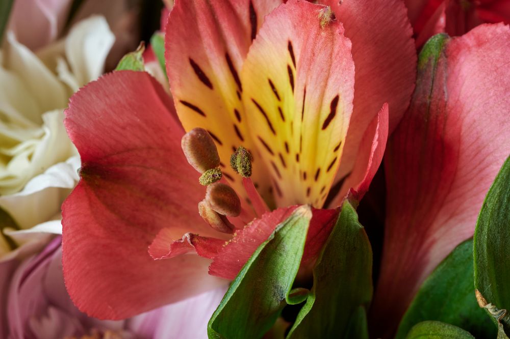 Photograph by Сергей Анисимов