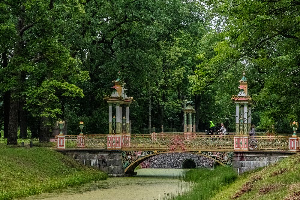 Photograph by Ирина Саломатина