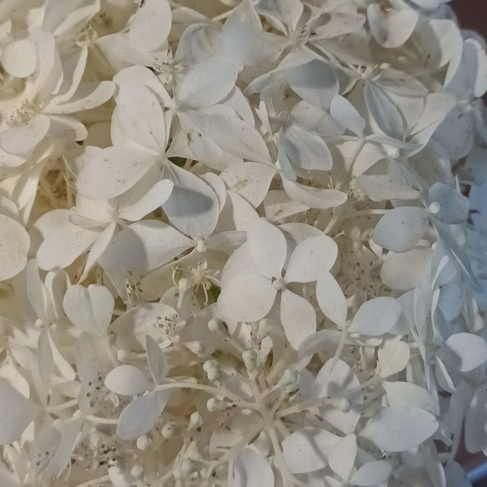 Фотография автора Maks Lanister