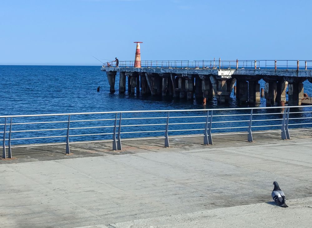 Photograph by Басыров Валерий