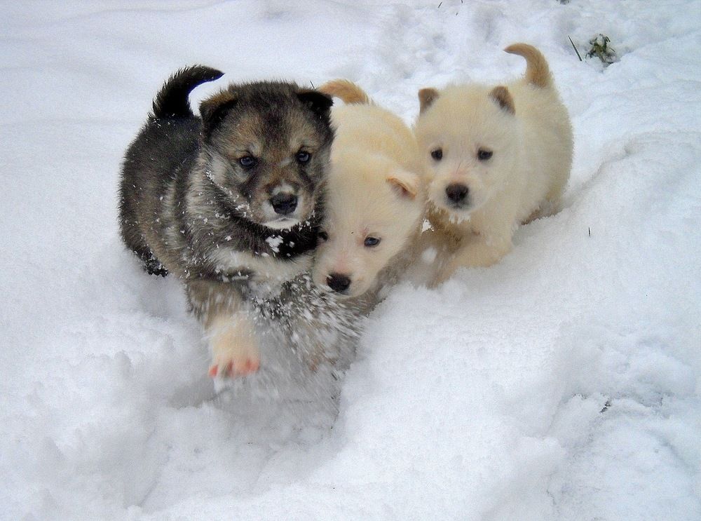 Photograph by Виктор Решетников