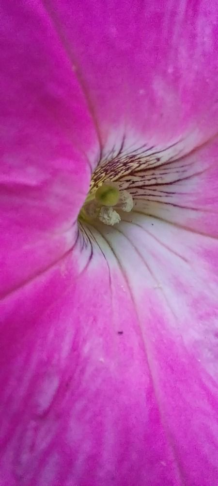 Photograph by Анастасия Липаткина