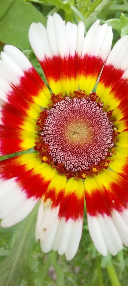 Photograph by Анастасия Липаткина