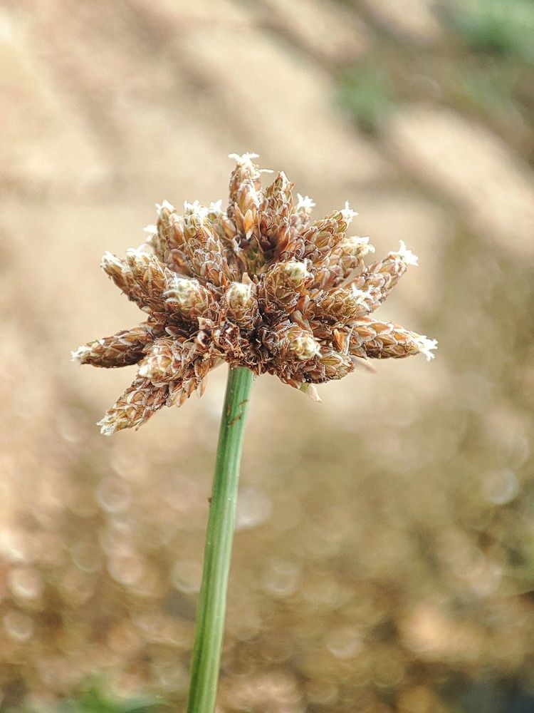 Photograph by Meilany Wijaya