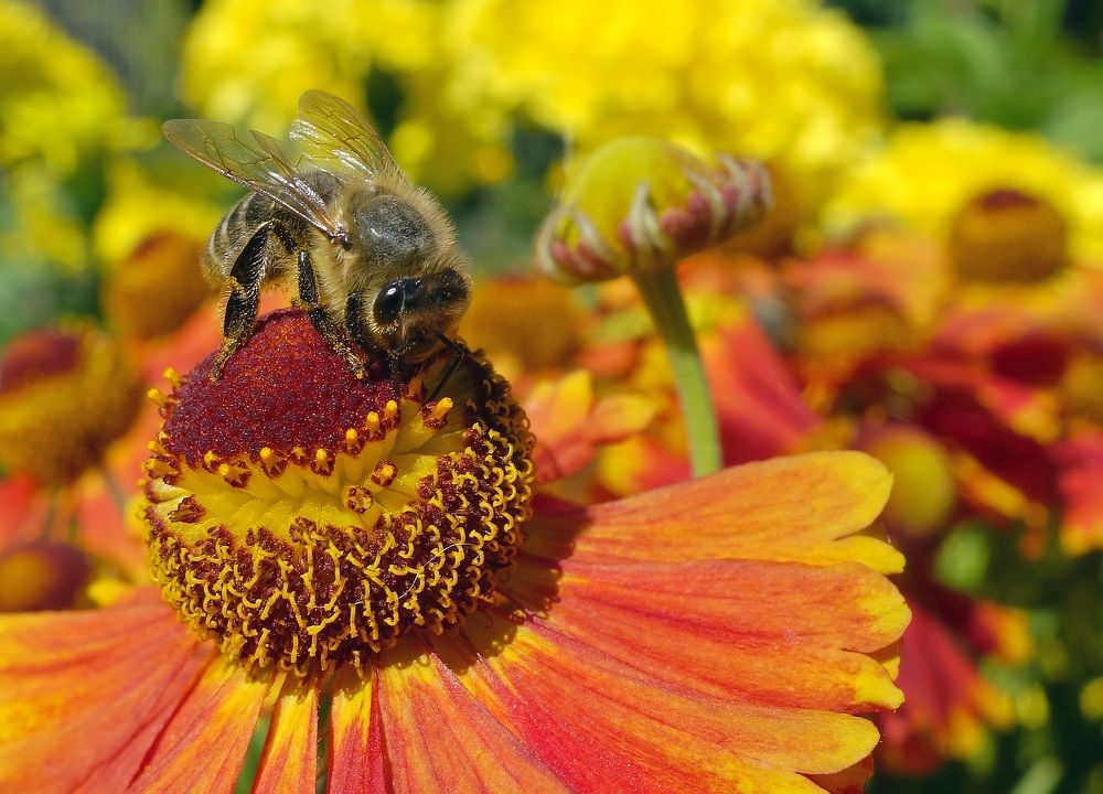 Photograph by Виктор Решетников