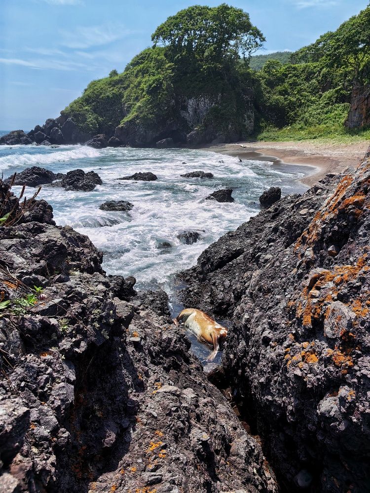 Photograph by Екатерина Тулина