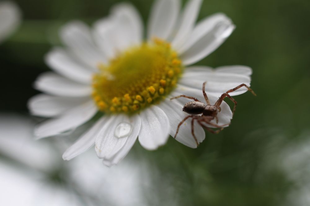 Photograph by Наталья Алексеева