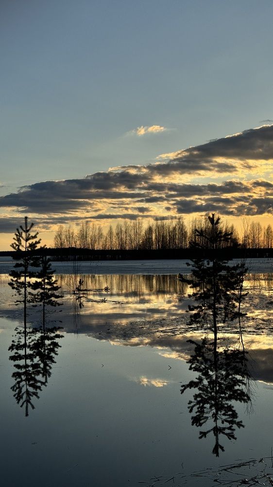 Photograph by Наталья