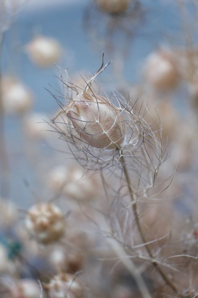 Photograph by Екатерина Загородина