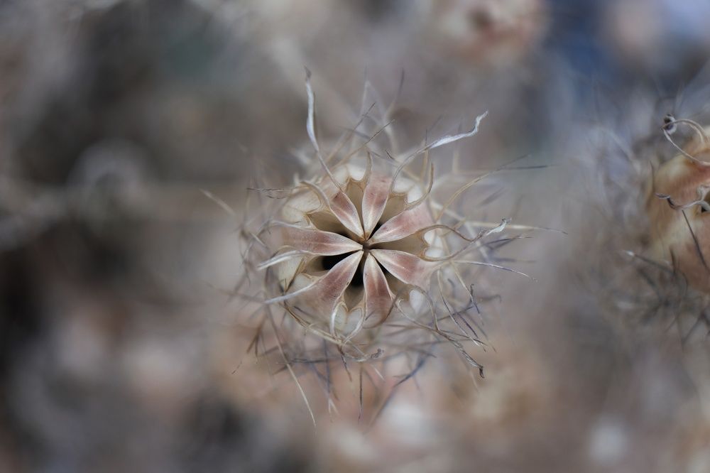 Photograph by Екатерина Загородина