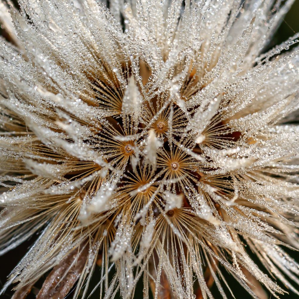 Photograph by Лапин Сергей