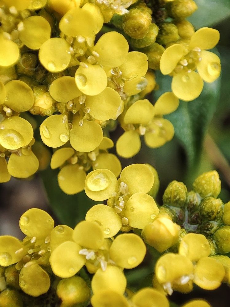 Photograph by Алина Эбель