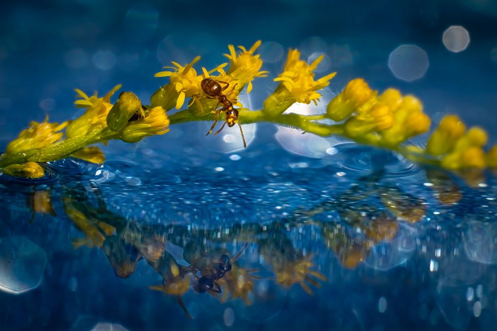 Photograph by Николай Фонарёв