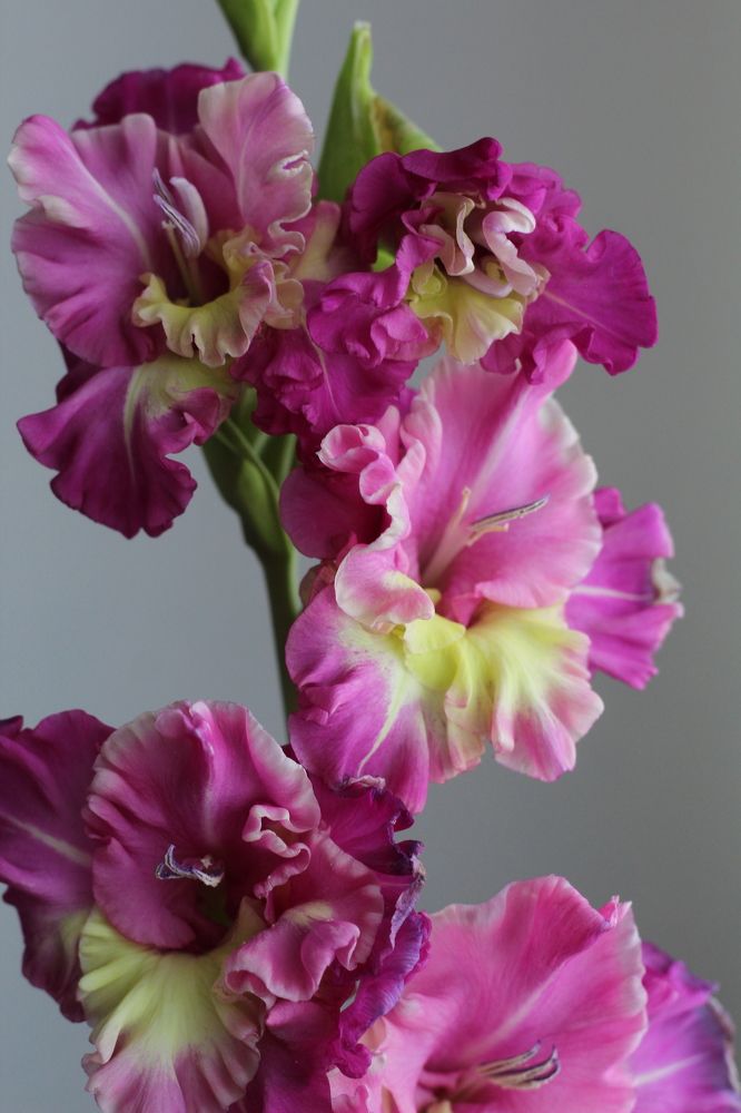 Photograph by Козлова Ольга