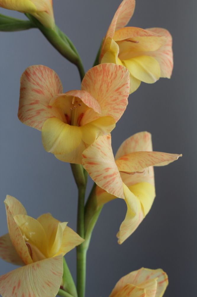 Photograph by Козлова Ольга