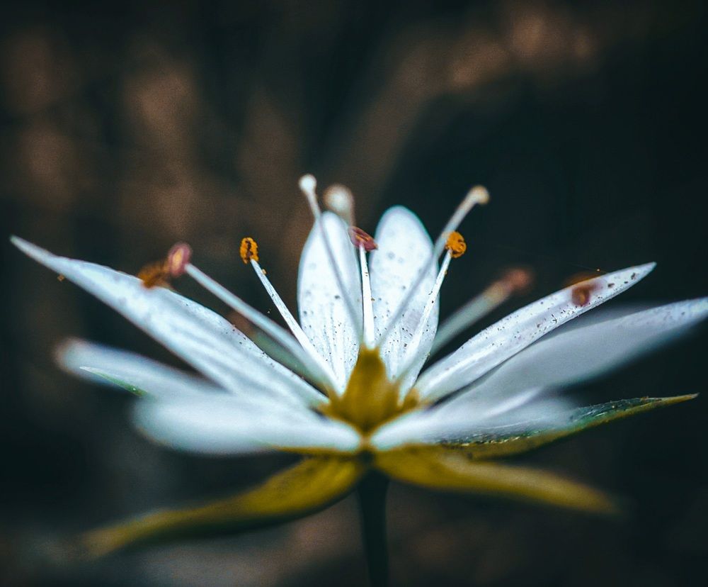 Photograph by Konstantin Martynov